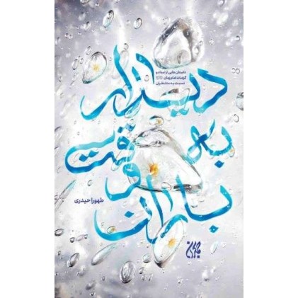 کتاب دیدار به وقت باران