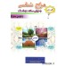 کتاب مزاج شناسی به زبان ساده - 5 جلدی کتاب مزاج شناسی به زبان ساده - 5 جلدی