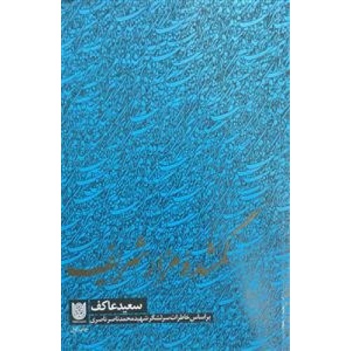 کتاب گمشده مزار شریف
