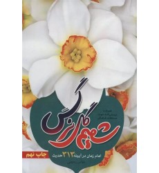 کتاب شمیم گل نرگس کتاب شمیم گل نرگس