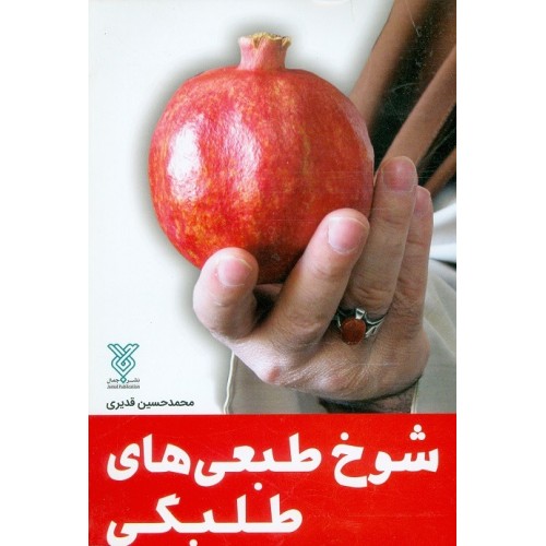 کتاب شوخ طبعی های طلبگی