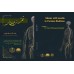 کتاب غمز سوزنی در طب ایرانی