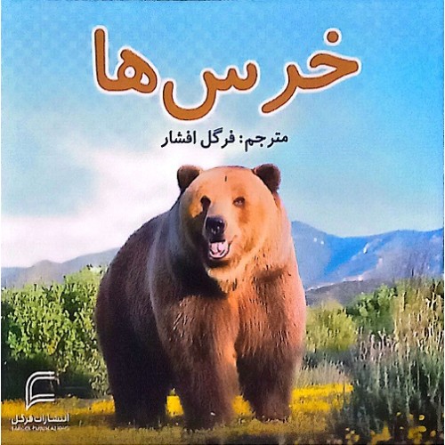کتاب خرس ها