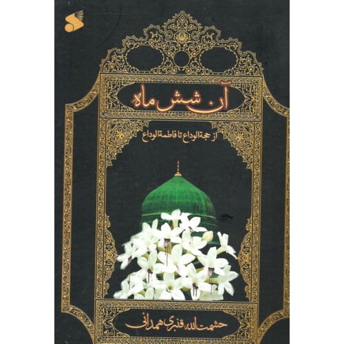 کتاب آن شش ماه