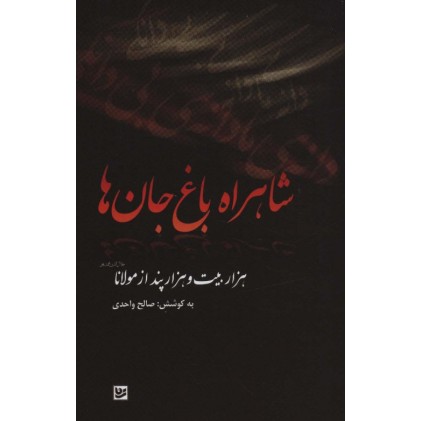 کتاب شاهراه باغ جان ها