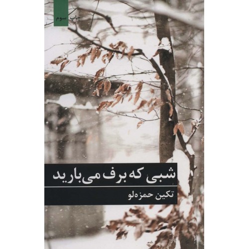 کتاب شبی که برف می بارید
