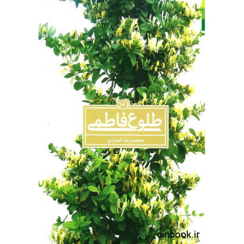 کتاب طلوع فاطمی