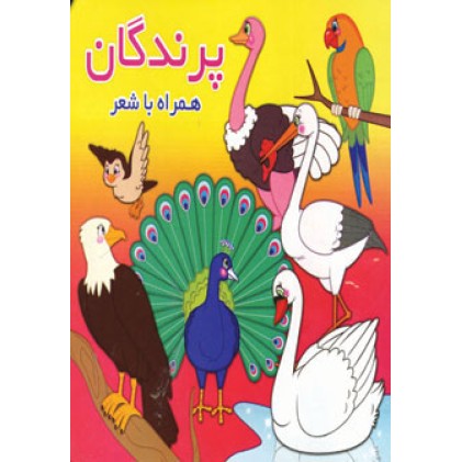 کتاب پرندگان