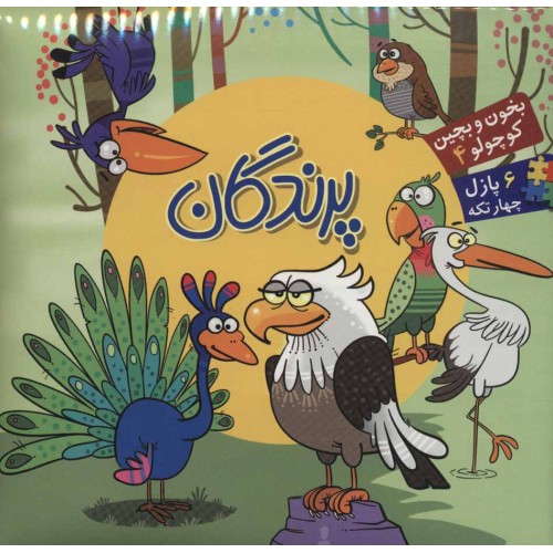 کتاب پازل پرندگان