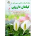کتاب اطلس مصور گیاهان دارویی 3 جلدی کتاب اطلس مصور گیاهان دارویی 3 جلدی