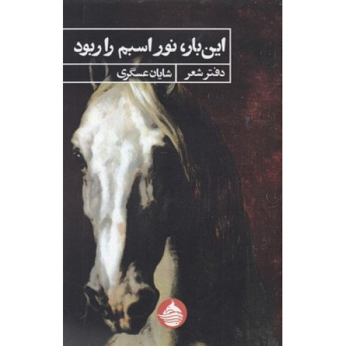 کتاب این بار نور اسبم را ربود