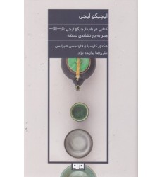 کتاب ایچیگو ایچی