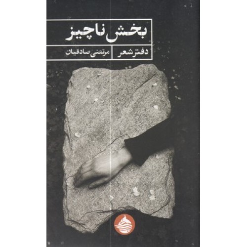کتاب بخش ناچیز