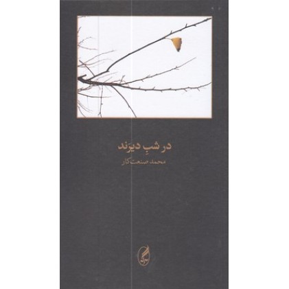 کتاب در شب دیرند