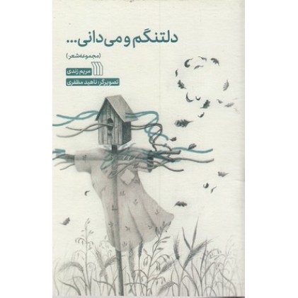 کتاب دلتنگم و می دانی...