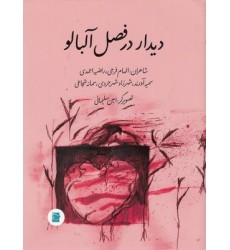 کتاب دیدار در فصل آلبالو