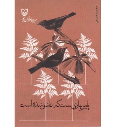 کتاب پاییز بهاری ست که عاشق شده است
