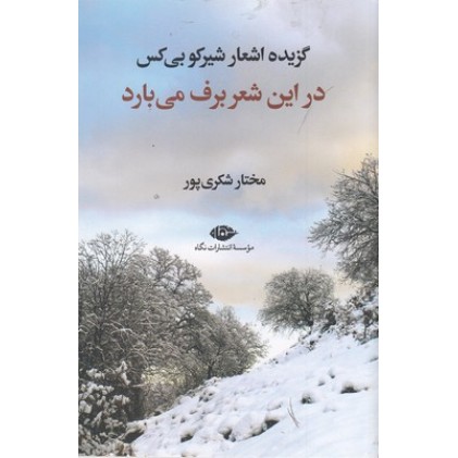 کتاب در این شعر برف می بارد
