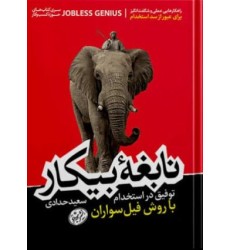 کتاب نابغه بیکار 