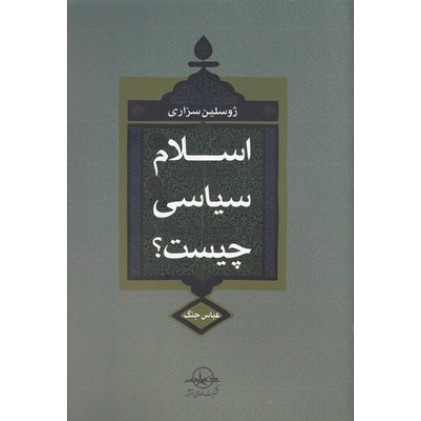 کتاب اسلام سیاسی چیست