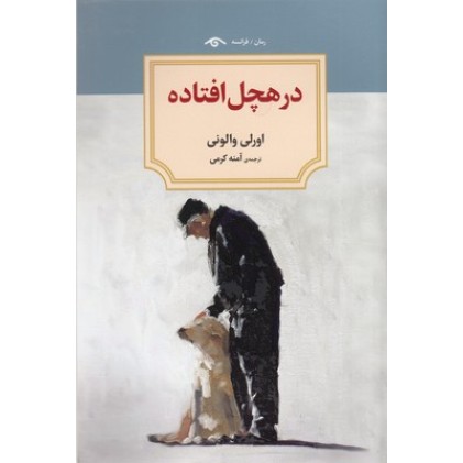 کتاب در هچل افتاده