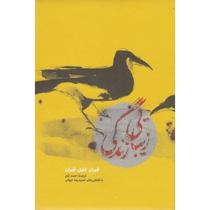کتاب زیبایی زندگی