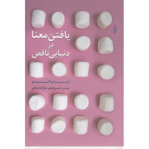 کتاب یافتن معنا در دنیایی ناقص
