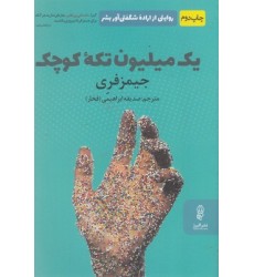 کتاب یک میلیون تکه کوچک