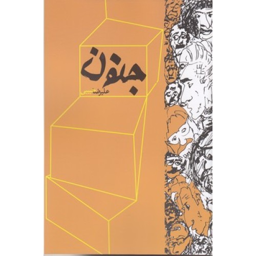کتاب جنون