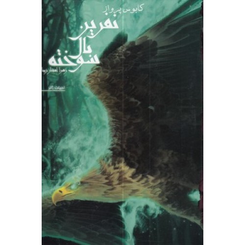 کتاب نفرین بال سوخته 1-کابوس پرواز