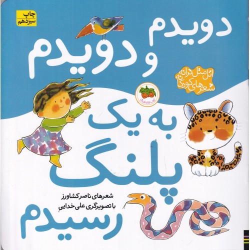 کتاب دویدم و دویدم به یک پلنگ رسیدم