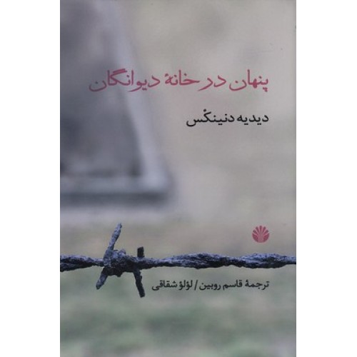 کتاب پنهان در خانه دیوانگان