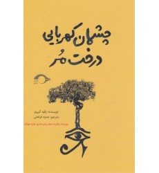 کتاب چشمان کهربایی درخت مر